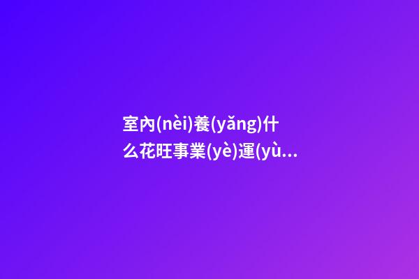 室內(nèi)養(yǎng)什么花旺事業(yè)運(yùn)  薄荷可提神